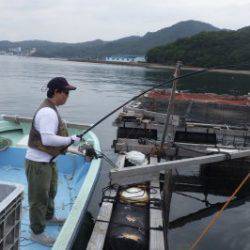 淡路じゃのひれフィッシングパーク 釣果