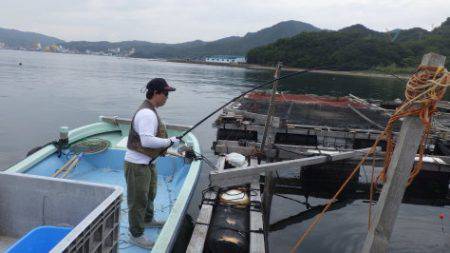 淡路じゃのひれフィッシングパーク 釣果