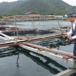 淡路じゃのひれフィッシングパーク 釣果
