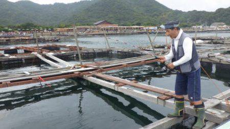 淡路じゃのひれフィッシングパーク 釣果