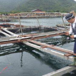 淡路じゃのひれフィッシングパーク 釣果