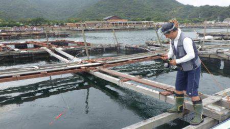 淡路じゃのひれフィッシングパーク 釣果