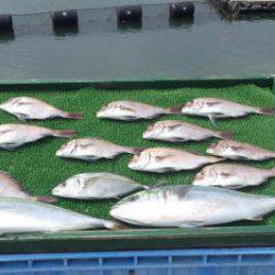 淡路じゃのひれフィッシングパーク 釣果