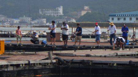 淡路じゃのひれフィッシングパーク 釣果