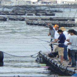 淡路じゃのひれフィッシングパーク 釣果