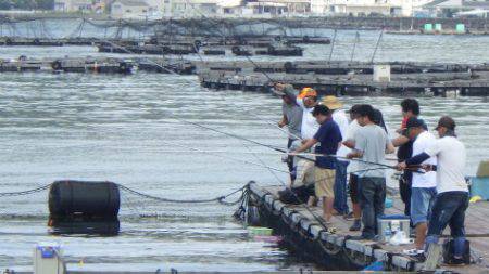 淡路じゃのひれフィッシングパーク 釣果