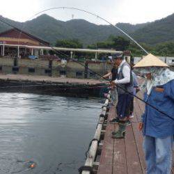淡路じゃのひれフィッシングパーク 釣果