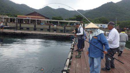 淡路じゃのひれフィッシングパーク 釣果