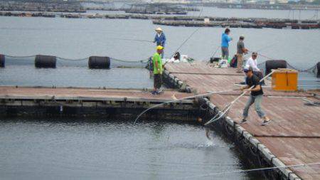 淡路じゃのひれフィッシングパーク 釣果