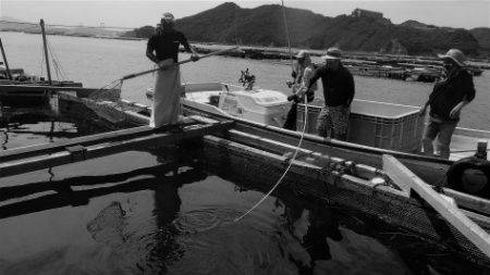 淡路じゃのひれフィッシングパーク 釣果