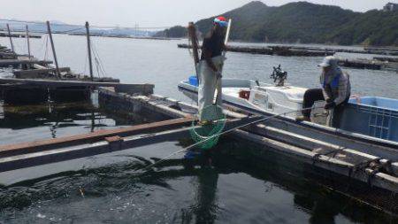 淡路じゃのひれフィッシングパーク 釣果