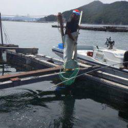 淡路じゃのひれフィッシングパーク 釣果