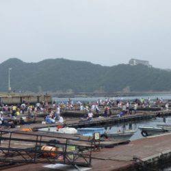 淡路じゃのひれフィッシングパーク 釣果