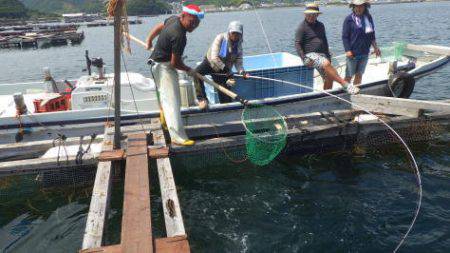 淡路じゃのひれフィッシングパーク 釣果