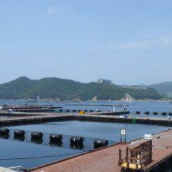 淡路じゃのひれフィッシングパーク 釣果