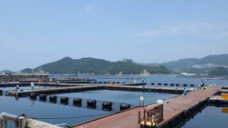 淡路じゃのひれフィッシングパーク 釣果