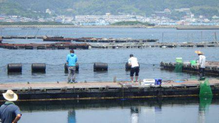 淡路じゃのひれフィッシングパーク 釣果
