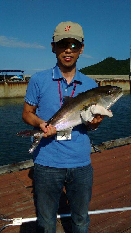 淡路じゃのひれフィッシングパーク 釣果