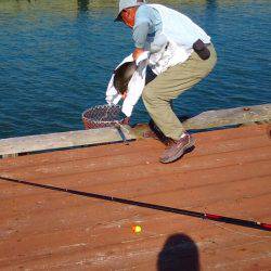 淡路じゃのひれフィッシングパーク 釣果