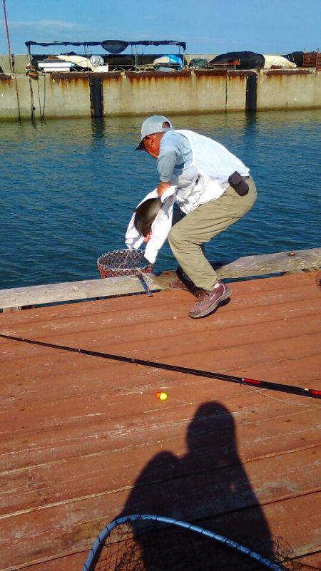 淡路じゃのひれフィッシングパーク 釣果