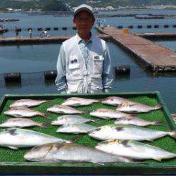淡路じゃのひれフィッシングパーク 釣果