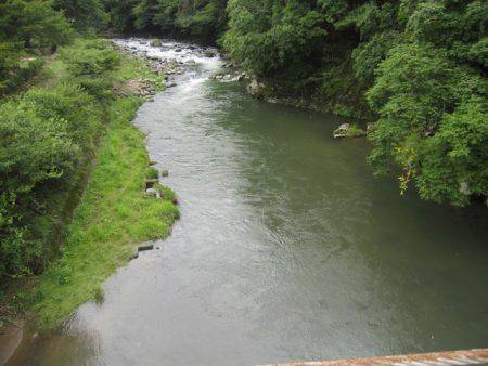 狩野川(狩野川漁業協同組合) 釣果