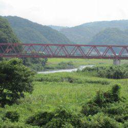 狩野川(狩野川漁業協同組合) 釣果