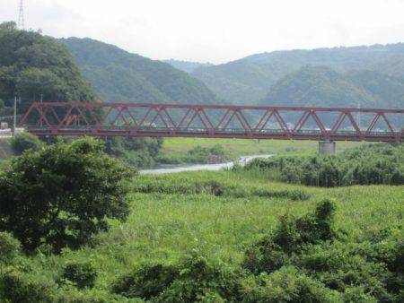 狩野川(狩野川漁業協同組合) 釣果