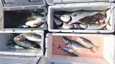 気仙沼 つり丸 釣果