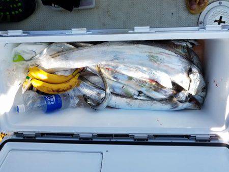 遊漁船　ニライカナイ 釣果