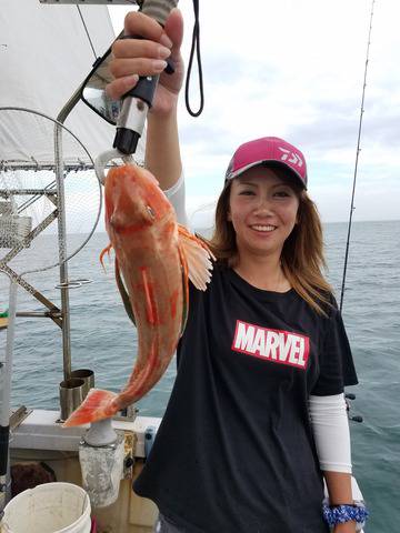 遊漁船　ニライカナイ 釣果