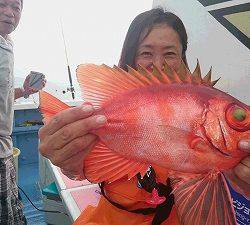 しまや丸 釣果