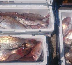 IDATEN（イダテン） 釣果