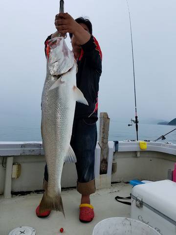 遊漁船 ニライカナイ 釣果