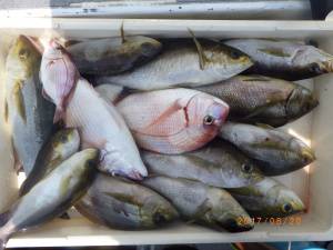 石川丸 釣果