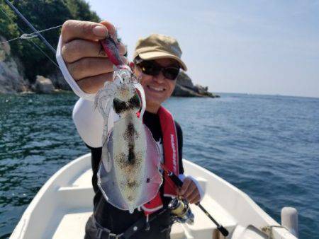 Magic（マジック） 釣果