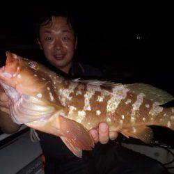 Magic（マジック） 釣果