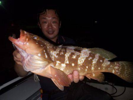 Magic（マジック） 釣果