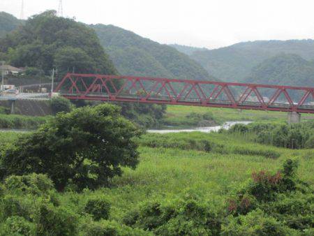 狩野川(狩野川漁業協同組合) 釣果