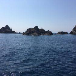 鵜来島家本渡船 釣果