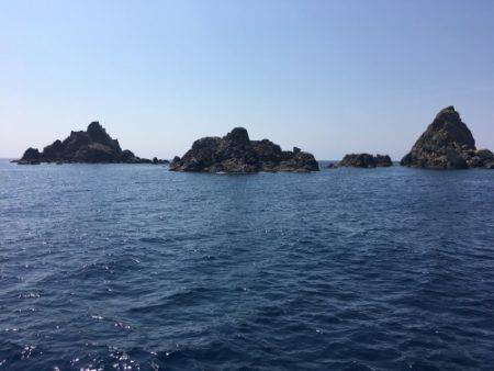 鵜来島家本渡船 釣果