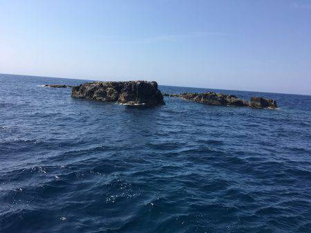 鵜来島家本渡船 釣果