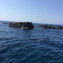 鵜来島家本渡船 釣果