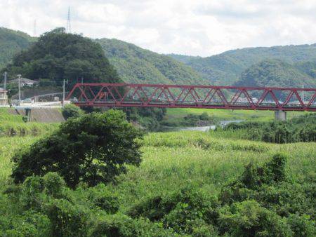 狩野川(狩野川漁業協同組合) 釣果