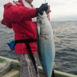 気仙沼 つり丸 釣果