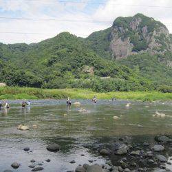 狩野川(狩野川漁業協同組合) 釣果