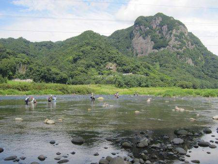 狩野川(狩野川漁業協同組合) 釣果