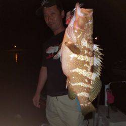 Magic（マジック） 釣果