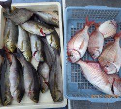 石川丸 釣果