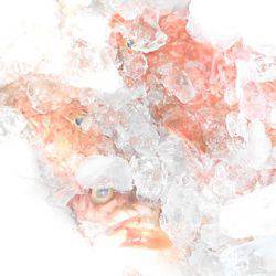 こうゆう丸 釣果